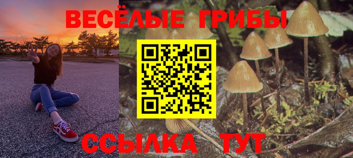 Галлюциногенные грибы прущие грибы  Вход с VPN  Партизанск 